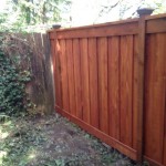 New Fence w/Stain